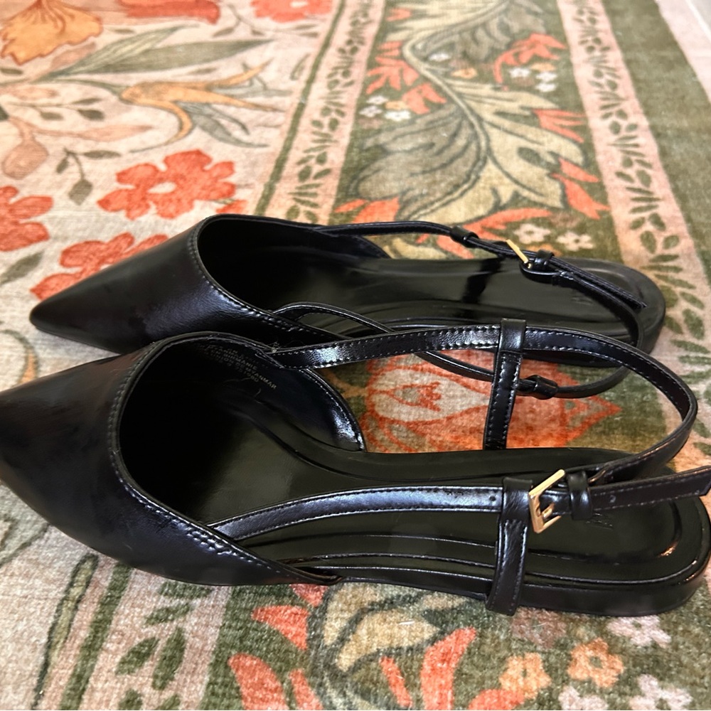 Black Flats